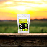 Пророщені зерна бобових прозери (нут, маш, соя, сочевиця) (150 г) ТМ Добра Їжа, фото 4