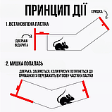 Безпечна мишоловка, багаторазова мишоловка будиночок, пастка для вилову мишей та щурів Hechpro (147), фото 6