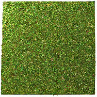 Фон з натурального моху Repti-Zoo Natural Moss Back & Bottom 45x45см 2 шт (NCM4545) для тераріуму