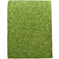 Фон з натурального моху Repti-Zoo Natural Moss Back & Bottom 20x30см 2 шт (NCM3020) для тераріуму