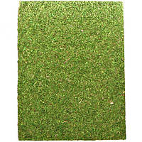 Фон моховий Repti-Zoo Natural Moss Back & Bottom 60x45см 2шт. (NCM6045)