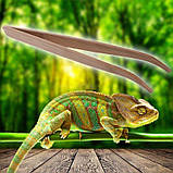 Бамбуковий вигнутий пінцет Repti-Zoo 28 см (FR09) для годування і догляду в тераріумі, фото 6