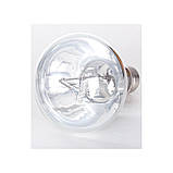 Лампа ртутная Repti-Zoo SuperSun 125W комбінована нагрівальна лампа з UVB/UVA для тераріуму (P125125), фото 4