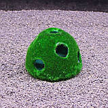 Грот Aqua Nova 7x6cм (125#-7), фото 3