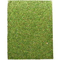 Фон з натурального моху Repti-Zoo Natural Moss Back & Bottom 50x25см 2 шт (NCM5025) для тераріуму