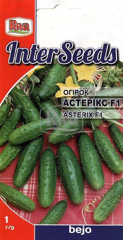 Насіння Огірок “Астерікс F1”, 10 шт, Bejo Zaden B.V., Нідерланди