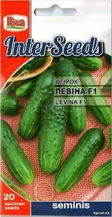 Насіння Огірок “Левіна F1”, 20 шт, Seminis (Голландія)