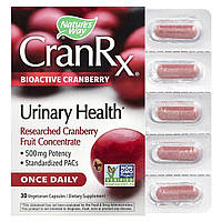 Журавлина біоактивна, здоров'я сечовивідних шляхів, 500 мг, Bioactive Cranberry, Nature's Way, 30 вегетаріанських капсул