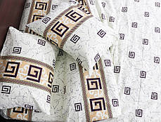 Євро-максі набір постільної білизни 200*220 з Фланелі №954207 Черешенка™, фото 2