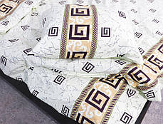 Євро-максі набір постільної білизни 200*220 з Фланелі №954207 Черешенка™, фото 3