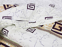 Євро-максі набір постільної білизни 200*220 з Фланелі №954207 Черешенка™, фото 5