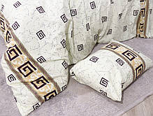 Євро-максі набір постільної білизни 200*220 з Фланелі №954207 Черешенка™, фото 4