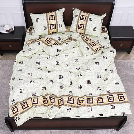 Євро-максі набір постільної білизни 200*220 з Фланелі №954207 Черешенка™, фото 1