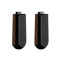 Bang & Olufsen Beolab 50 Black Anthracite