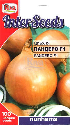 Насіння Цибуля Пандеро F1, 100 шт, Nunhems B.V., Нідерланди, фото 1