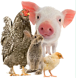 "Селосан" Екологічний гігієнічний порошок для дезінфекції та осушення 10 кг, фото 3