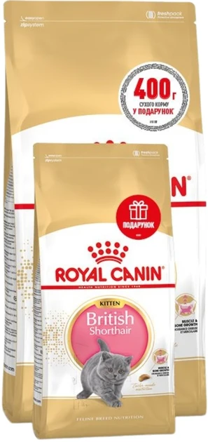 Royal Canin Kitten British Shorthair 2кг + 0,4кг  корм для кошенят британської породи