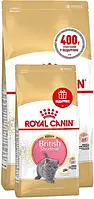 Royal Canin Kitten British Shorthair 2кг + 0,4кг корм для кошенят британської породи