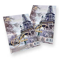 Пакети новорічні поліетиленові з прорубною ручкою 22х30 "Париж" Рендпако 50 шт/уп.