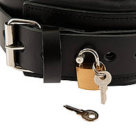 Нашийник із повідцем Zado Fetish Line AIW Or2564, фото 3