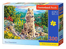 Кастор пазли 200 "Нове покоління" 40*29см (15