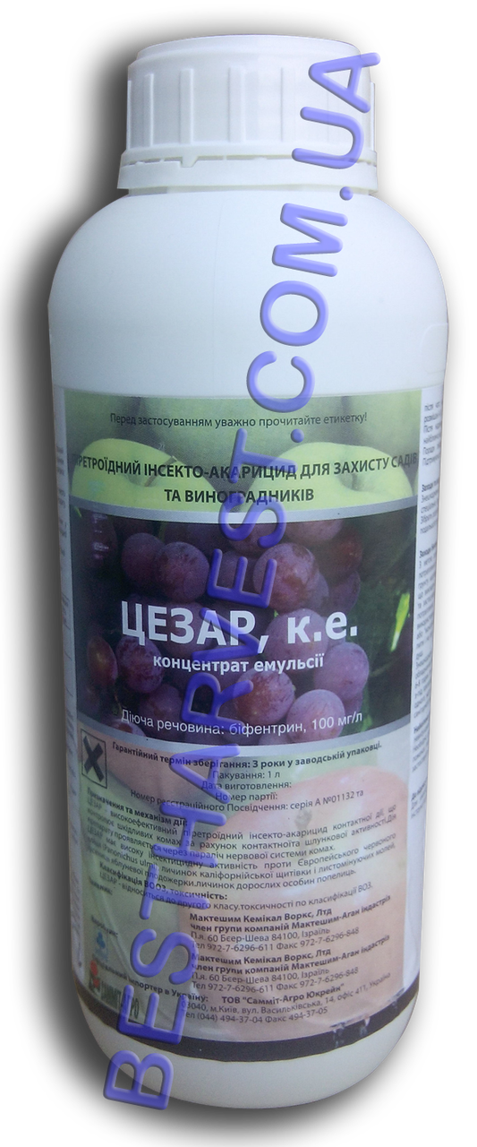 Цезар 1 л дешевий