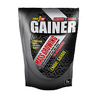 Power Pro Mass Growing Gainer (1 kg, лісова ягода)