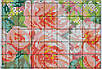 Набір для вишивання за нанесеною на канву схемою "Bunch of Flower".AIDA 11CT printed , 64*51 см, фото 5