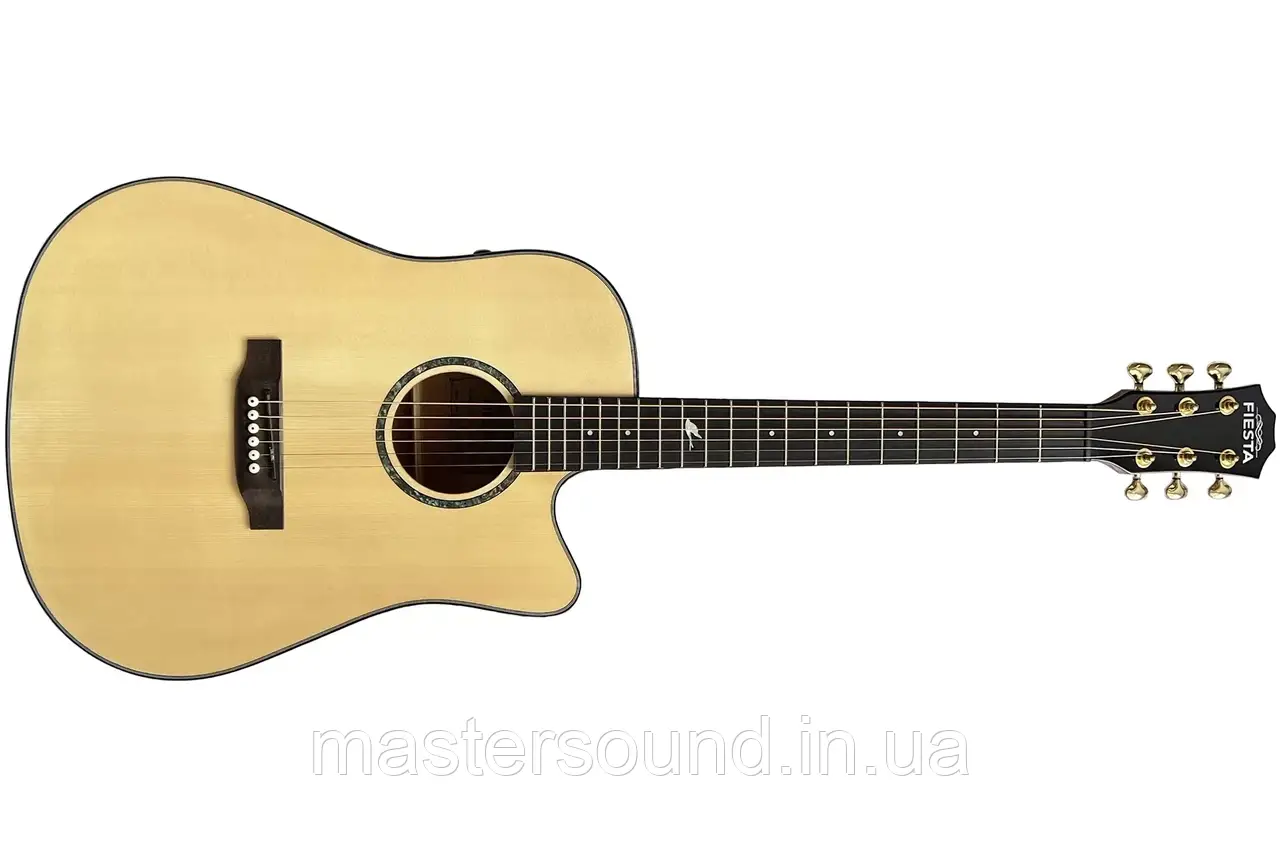 Електроакустична гітара Fiesta Kanta TransAcoustic, фото 1