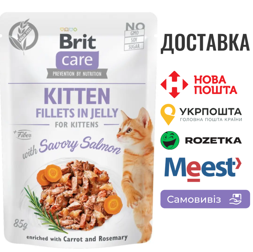 Вологий корм Brit Care Cat Pouch для кошенят, в желе, пікантний лосось, 85 г