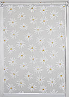 Рулонна штора Ромашки Білий
