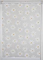 Рулонні штори Ромашки Білий