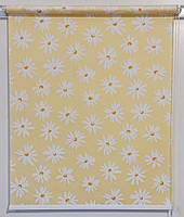 Рулонні штори Ромашки Жовтий