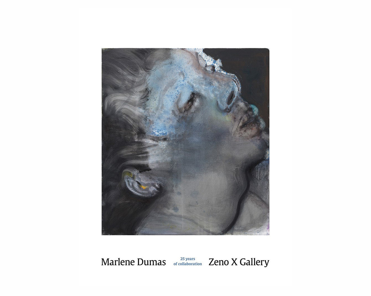 Великі художники Marlene Dumas / Zeno X Gallery: 25 Years of Collaboration живопис книги для художників, фото 1