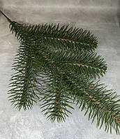 Декоративна зелена гілочка, 30 см, 5 відростків, Зелений