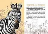 Вусохвості й лапокрилі Читанка про звірят - Володимир Верховень, фото 5