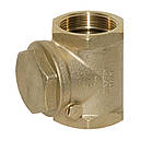 Зворотний клапан пелюстковий Bonomi DN 1" "хлопавка” (Італія) 70002108, фото 2