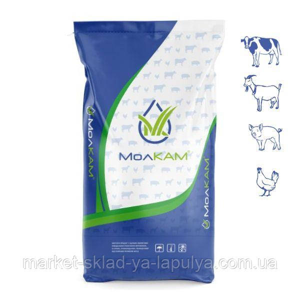 Бмвд Молкам старт для свиней 25% 25 кг, фото 1