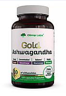 Olimp Gold Ashwagandha Jar 120 caps