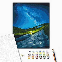 Набір для розпису по номерам 40*50см Кемпінг під зірками Roksolana Baran BS53751