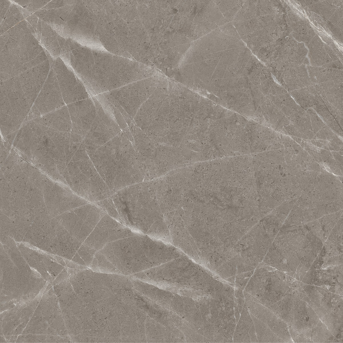 CK6Y4179PB CALVO (1 сорт)