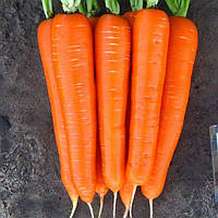 Семена моркови «Лагуна F1» 100 000 шт. 1.8-2.0 (год 09.21)