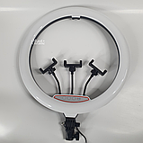 Кільцева LED-лампа RGB Ring Fill Light діаметром 45 см. з 3 тримачами для телефону VEN-149, фото 2