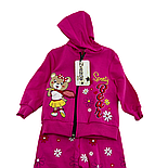 Костюм 6, 9, 12, 18 місяців Туреччина костюм для новонародженого набору на дівчинку малиновий (КДН188), фото 2