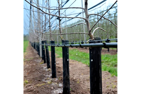 Кільце підвісне гачок для крапельної трубки 16 мм Presto-PS (HC-0116), фото 2