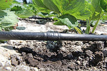 Крапельна трубка з еміттерами Presto-PS 100 см 200 м (MCL-100-200), фото 4