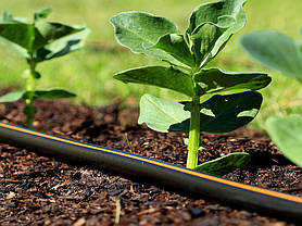 Крапельна стрічка NETAFIM STREAMLINE+ 16080 1.1L/H 0.30m 2500m FL (8 mil), фото 3