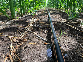 Крапельна лінія NETAFIM STREAMLINE Х 16060 1.10L/H 0.20m 2600m FL (6 mil), фото 4