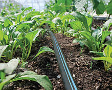 Крапельна стрічка щілинна Aqua-TraXX 5 mil 10 см 1,41 л/год 4250 м, фото 4