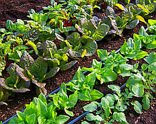 Крапельна стрічка щілинна Aqua-TraXX 5 mil 10 см 1,41 л/год 4250 м, фото 5